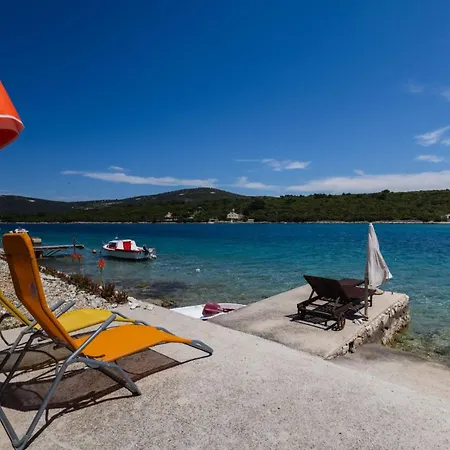Liski Cove - Sea Star *