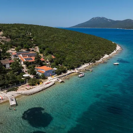 Liski Cove - Sea Star * Čunski
